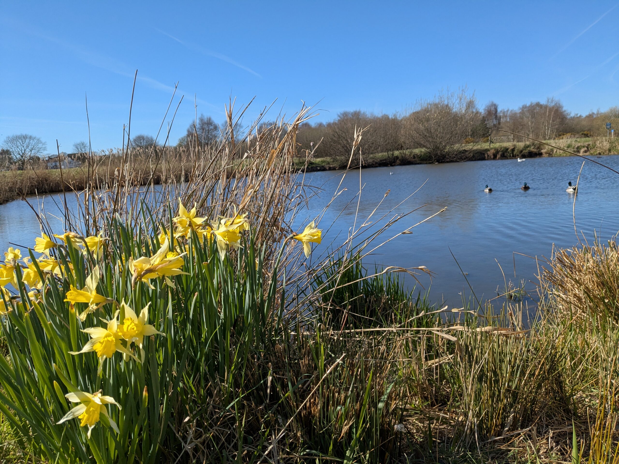 Hempton Pond